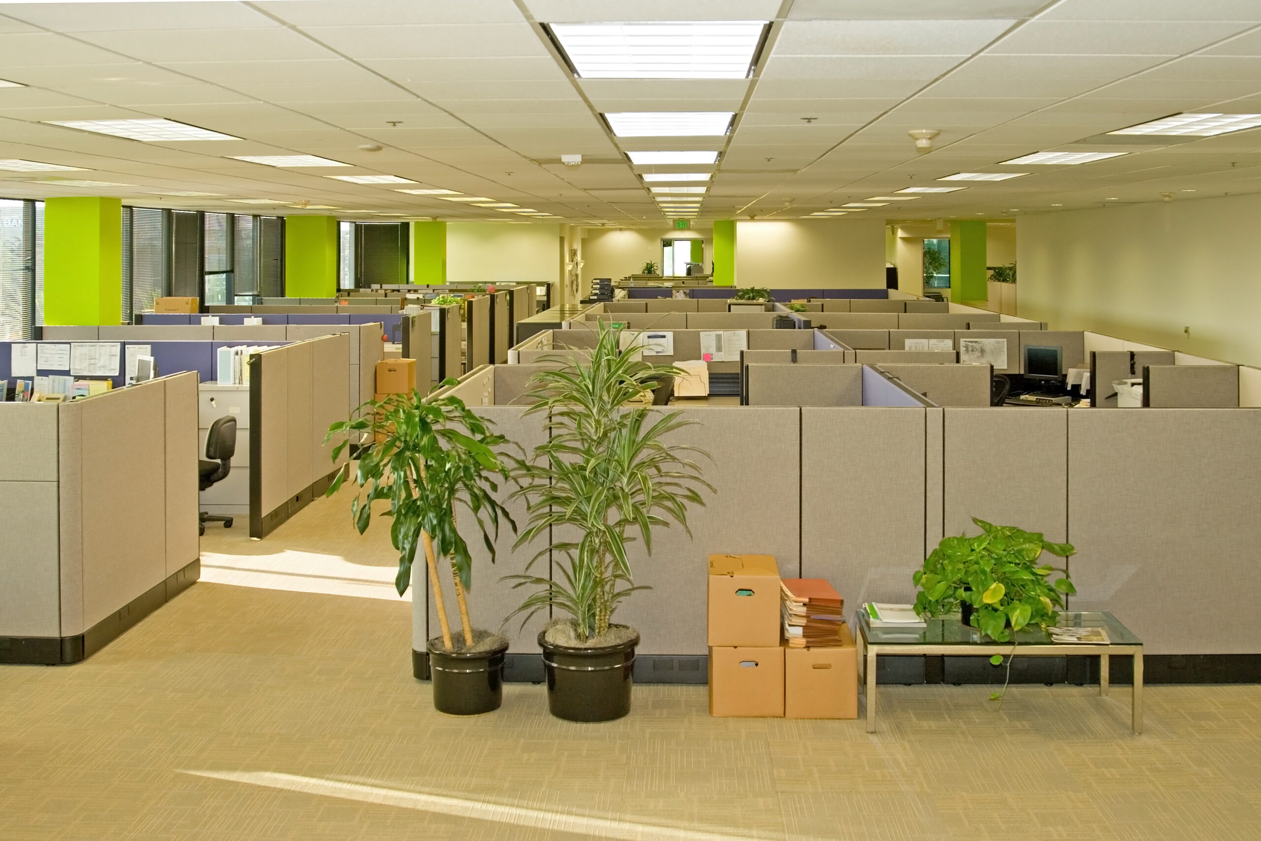 commercial office daily and nightly cleaning services daily and nightly commercial janitorial services
